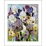 May Flowering Irises by Cedric Morris