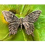 Broche de peltre de mariposa cola de golondrina 18
