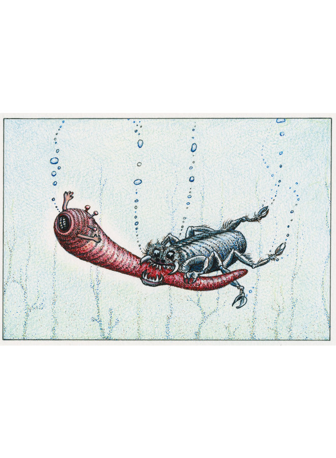 "Les scarabées Piranha n'ont fait qu'une bouchée des vers de mer" 54