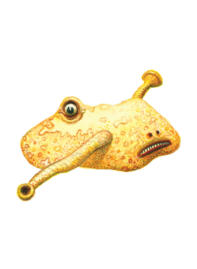 'Créature des profondeurs' 64