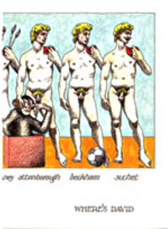 Var är David stora kort 844