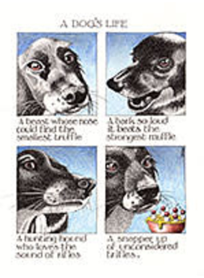 A Dog's Life large card 849