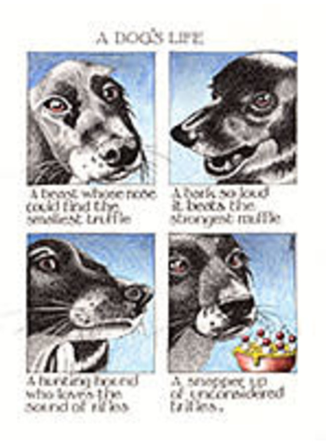 Собачья жизнь большая открытка 849