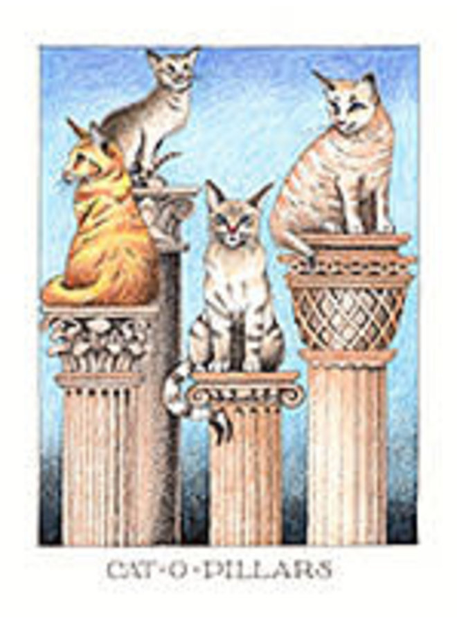 Cat O Pillars большая карта 850