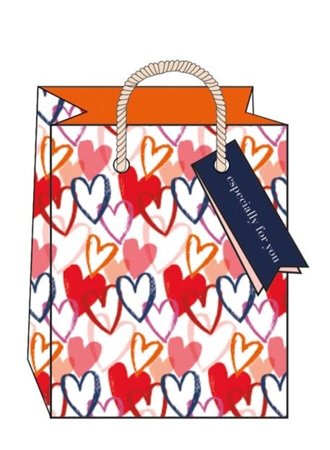 Especially for You Small Gift  Bag with Ribbons and Gift Tag
