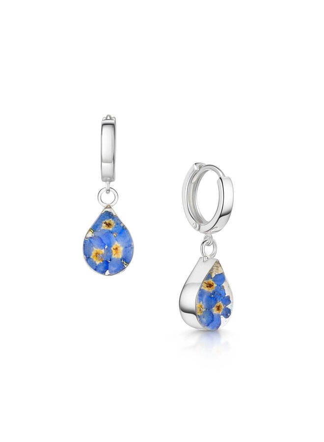 Forget-me-not teardrop huggie hoop earrings H02