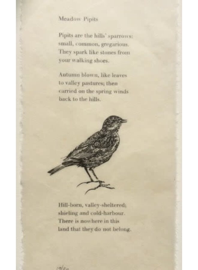 Meadow Pipits Ltd Edition Druck mit Originalgedicht