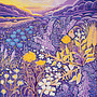 Carte carrée Pollen et Graines par Annie Soudain