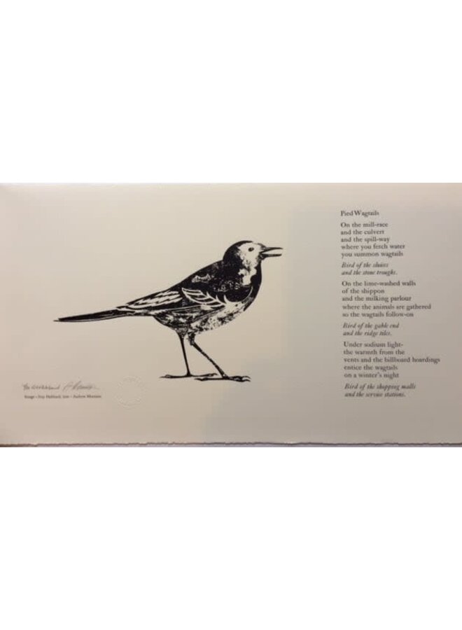 Pied Wagtail Ltd. Edition Print 7 of 30