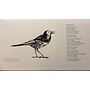 Pied Wagtail Ltd. Edition Tryck 7 av 30