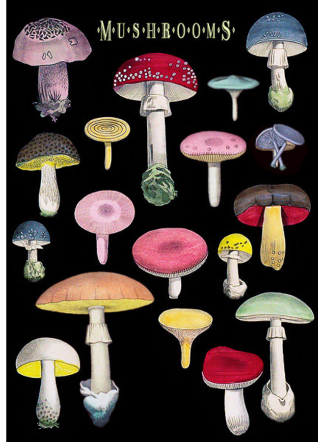 Tarjeta de muchos hongos