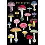 Many Mushrooms card