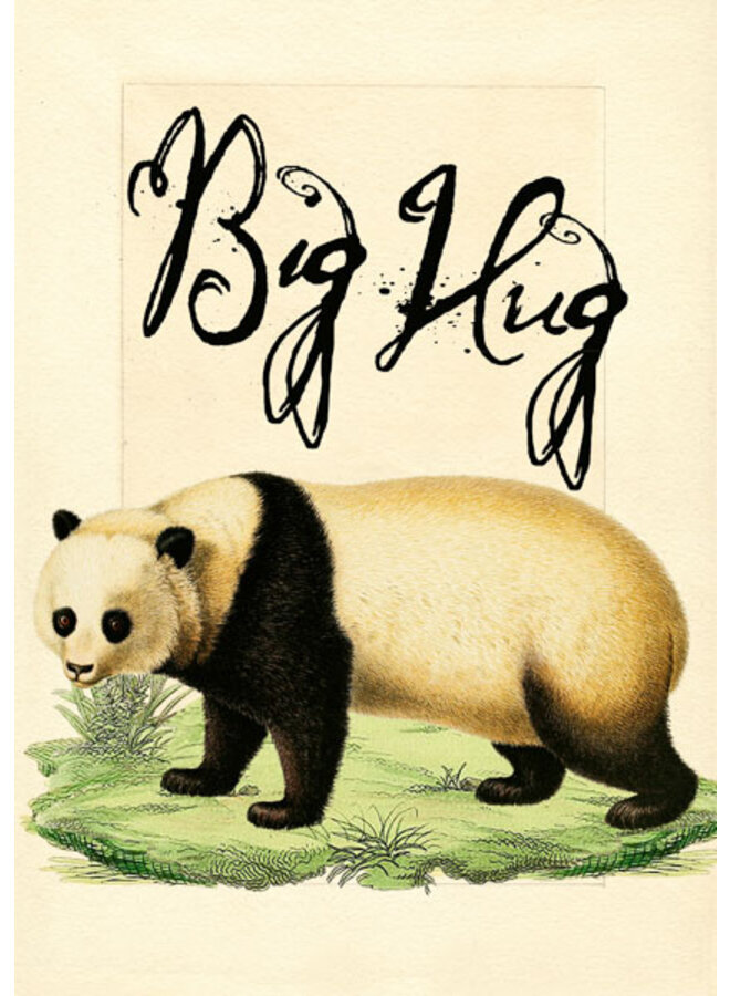 Bear Hug card