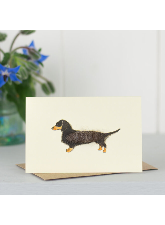 Mini tarjeta Dachshund de pelo largo negro y fuego 045