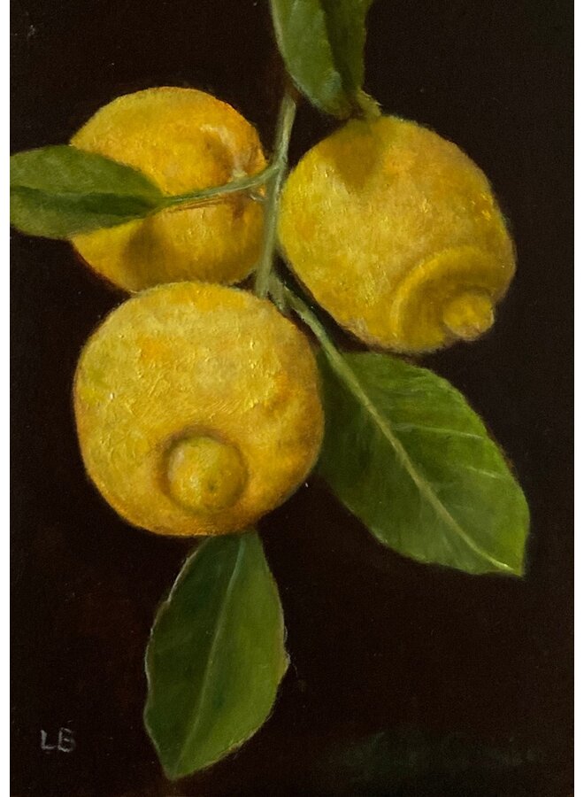 After Cotan (Lemons)