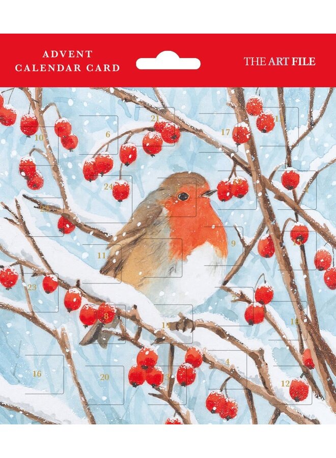 Robin Advent  Card