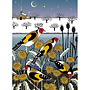 Cartes de charité de Noël Goldfinch Garden Pack de 8