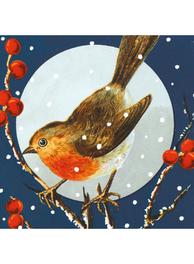 Weihnachtskartenpaket mit Rotkehlchen und Hagebutten, 8 Stück