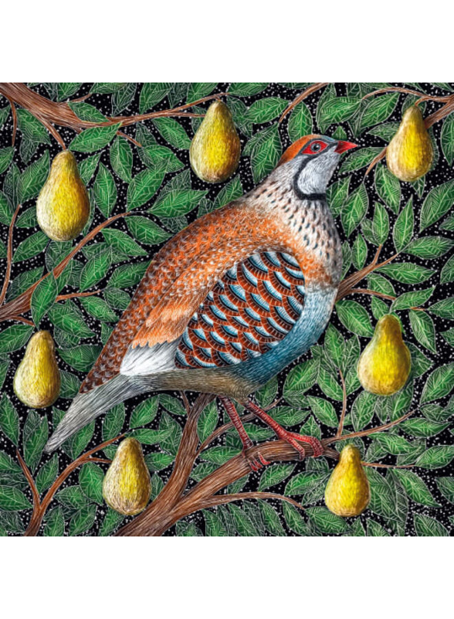 Paquete de 8 tarjetas navideñas de perdiz en un peral