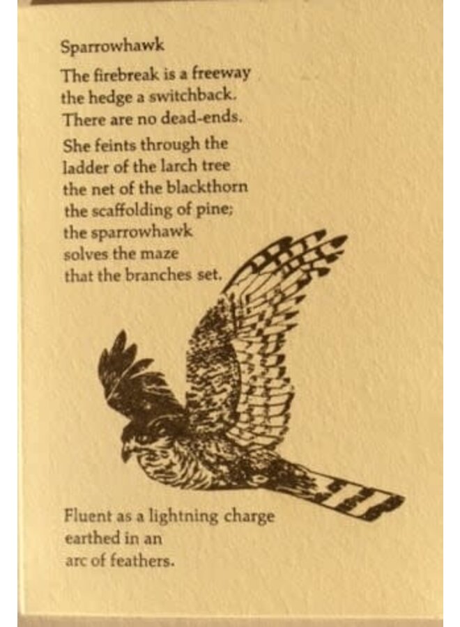 Sparrowhawk Letterpress Card with poem 33