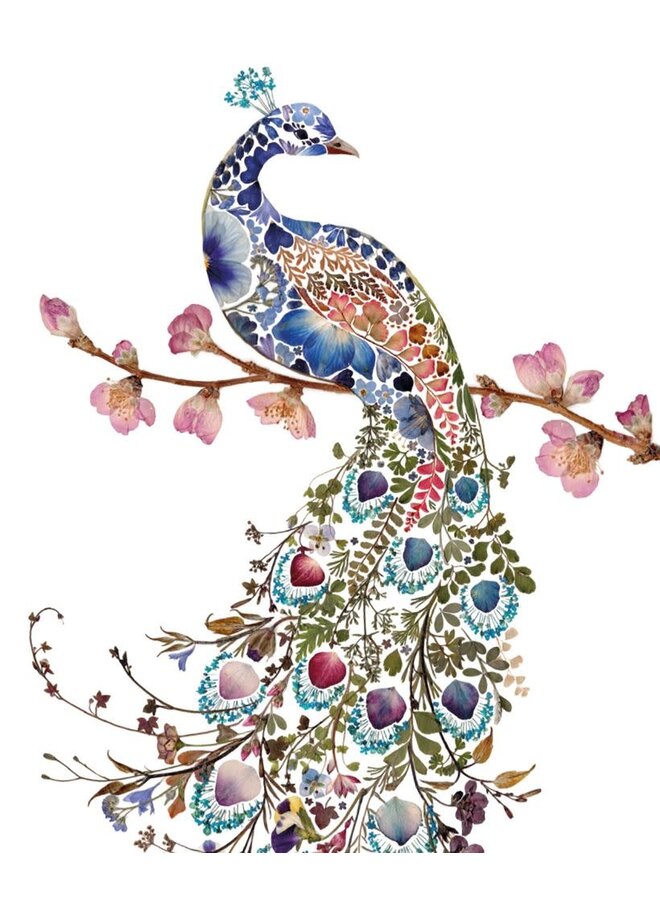 Peacock Card by Helen Ahpornsiri