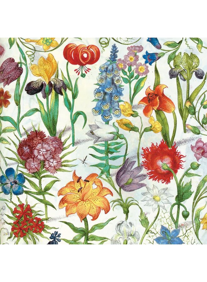 Floral Manuscript Card by Philipp Hainhofer