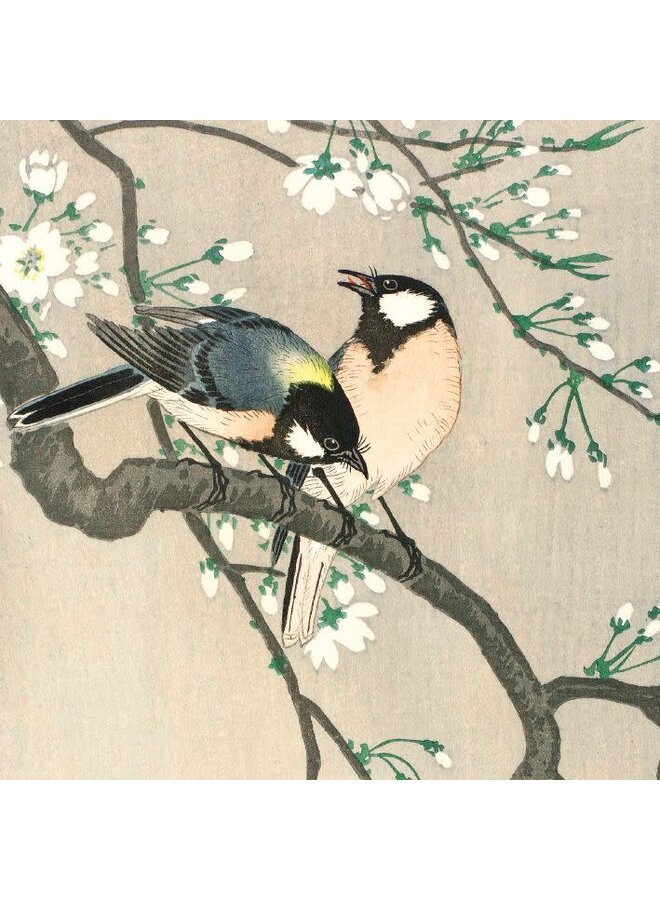 Tits on Cherry Branch Card by Ohara Koson