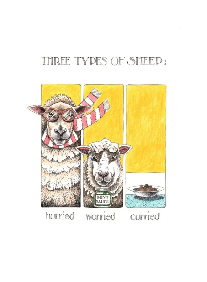 Types of Sheep large card 925