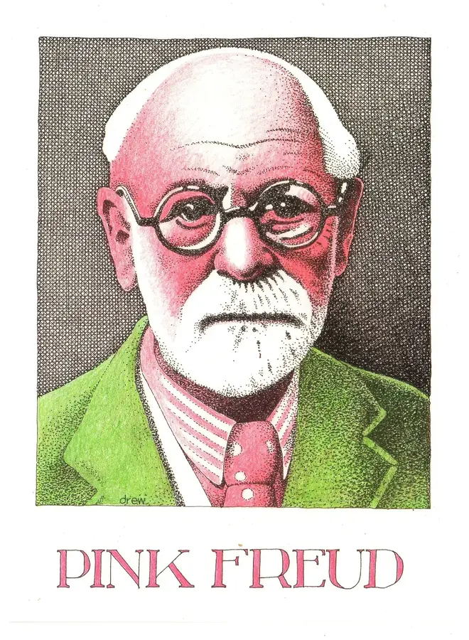 Grande carte Freud rose 825