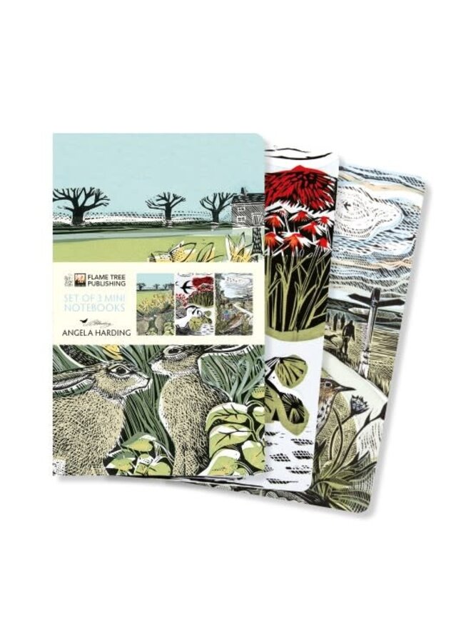 Set of Three  Mini   Notebooks by Angela Harding