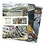 Ensemble de trois cahiers lignés Midi Wildlife par Angela Harding