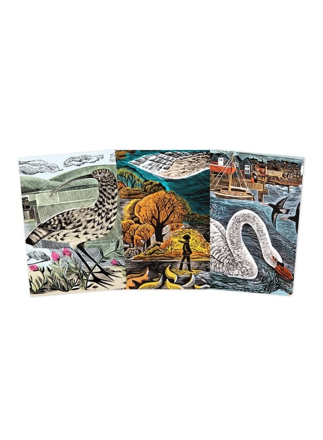 Set aus drei linierten Wildlife-Notizbüchern in Midi-Länge von Angela Harding