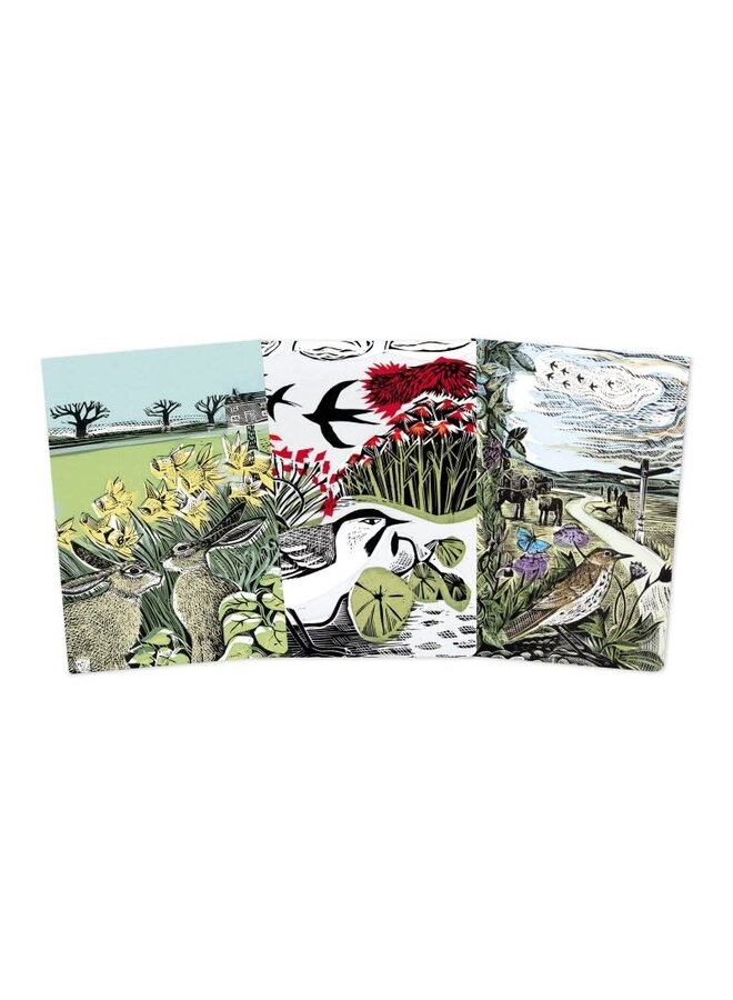 Set of Three  Landscapes  Midi  Lined   Notebooks by Angela Harding