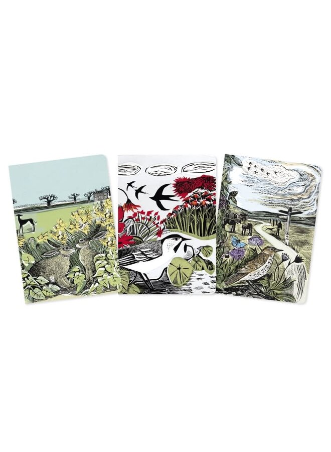 Set of Three  Lined   Notebooks by Angela Harding