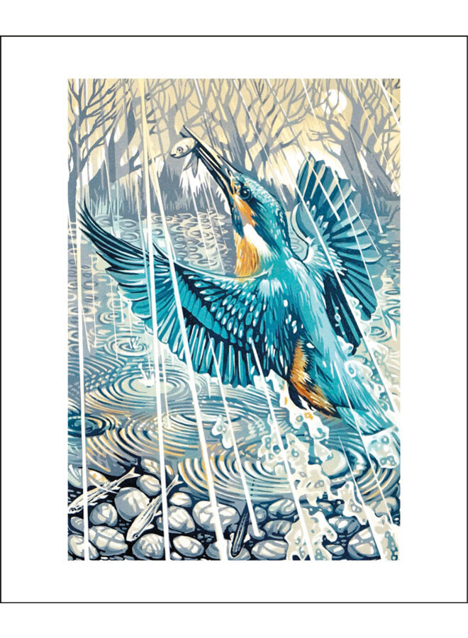 Kingfisher, Evening Rain Card By Martin Truefitt-Baker