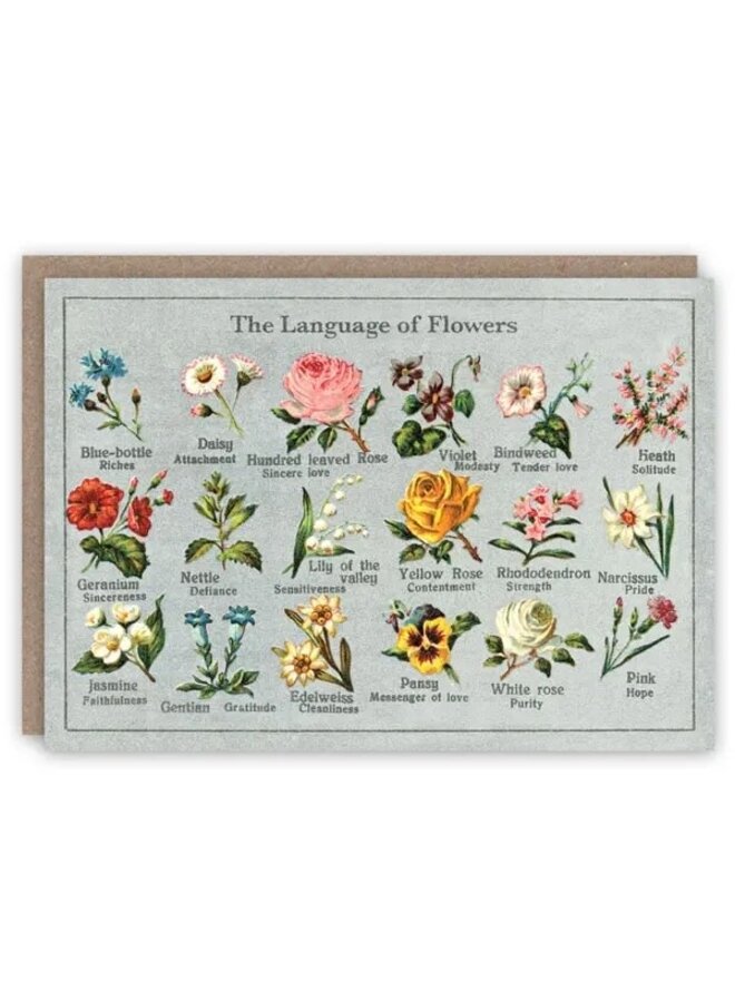 Language of Flowers Pattern Book Card