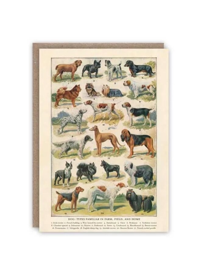 Dog Breeds Pattern Book Card