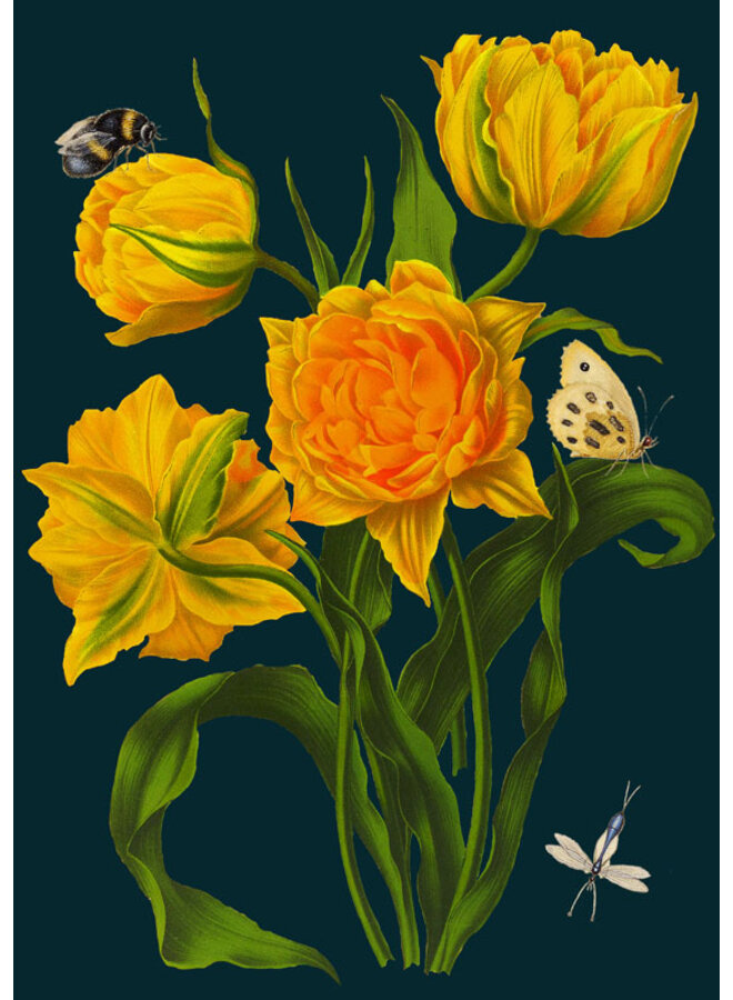 Yellow Tulips Card