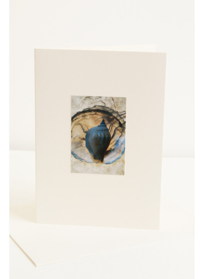 Carte d'art photo coquillages 12