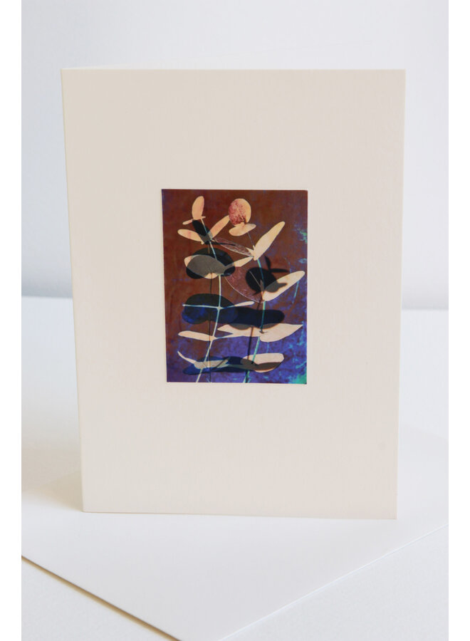 Eucalyptus Shadows Photo Art Card 11