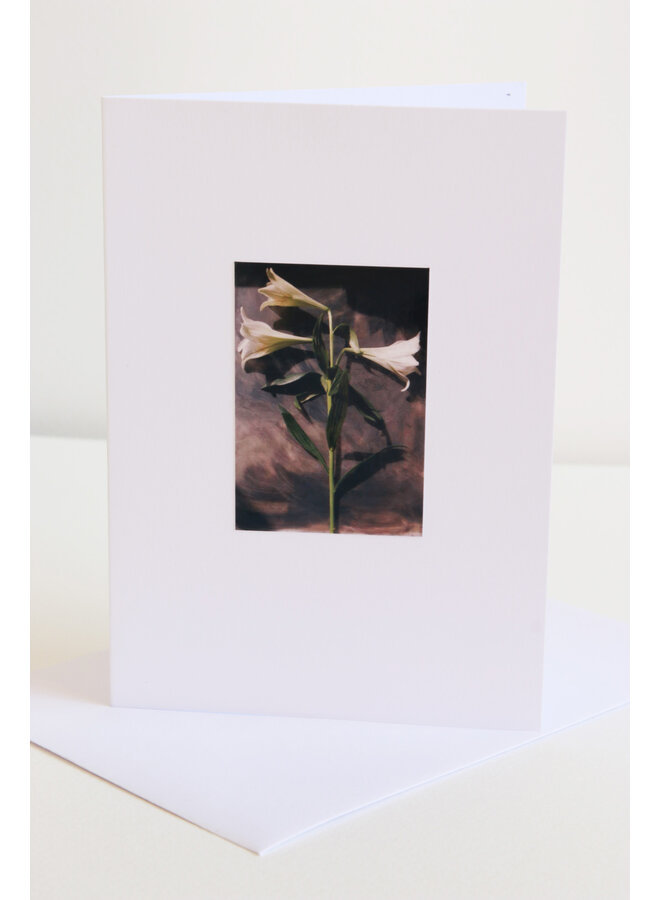 Weiße Lilien-Fotokunstkarte 08