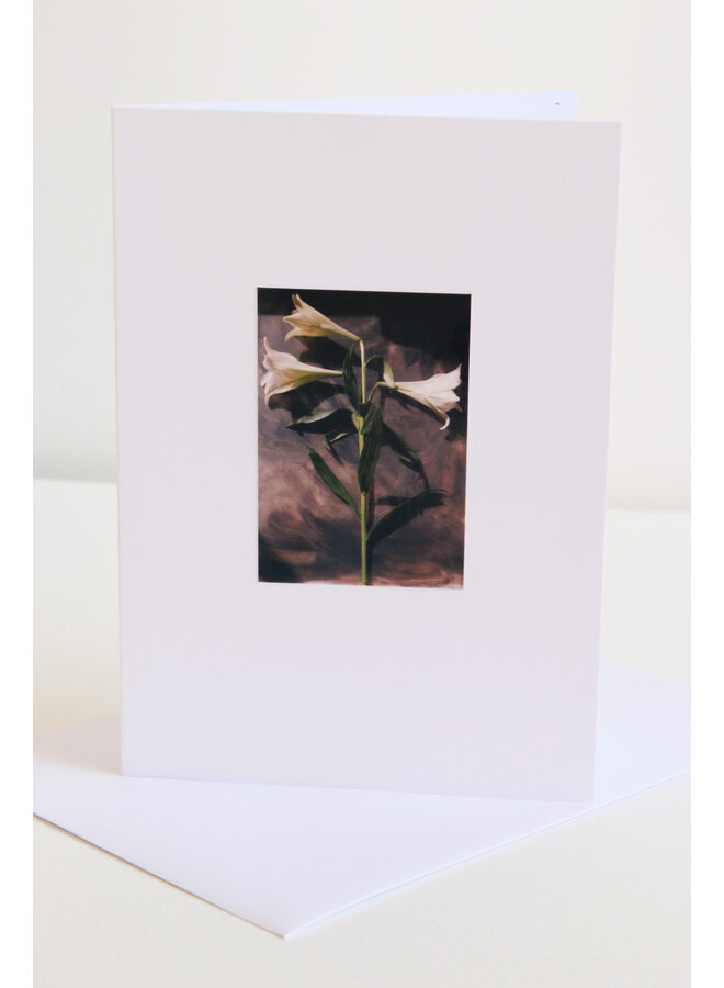 White Lily Photo Art Card 08