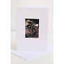 White Lily Photo Art Card 08