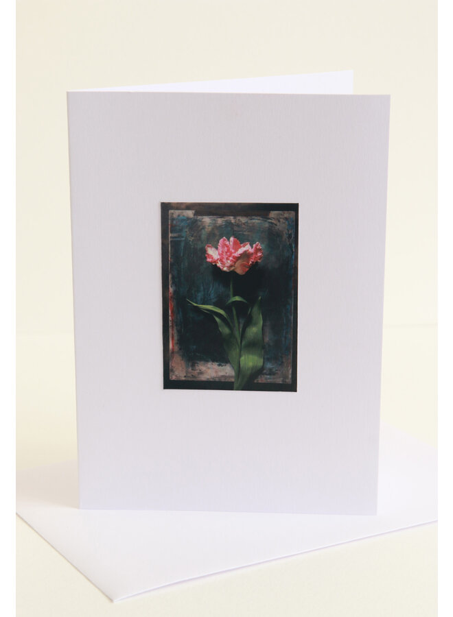 Carte d'art photo tulipe rose 05