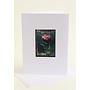 Carte d'art photo tulipe rose 05