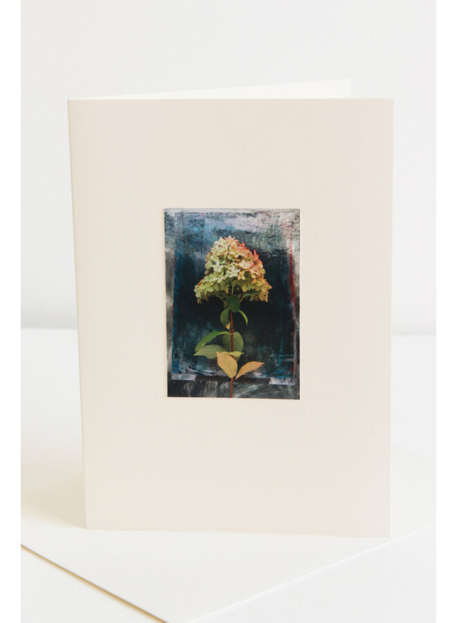 Green / Pink Hydrangea Photo Art Card 02