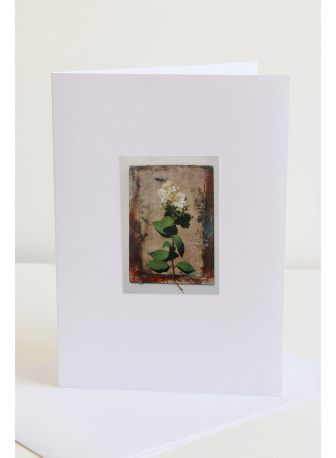 Weiße Hortensien-Fotokunstkarte 01