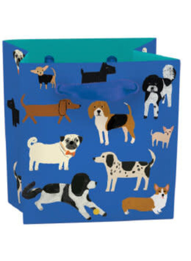 Mini sac cadeau Shaggy Dog avec ruban et étiquette