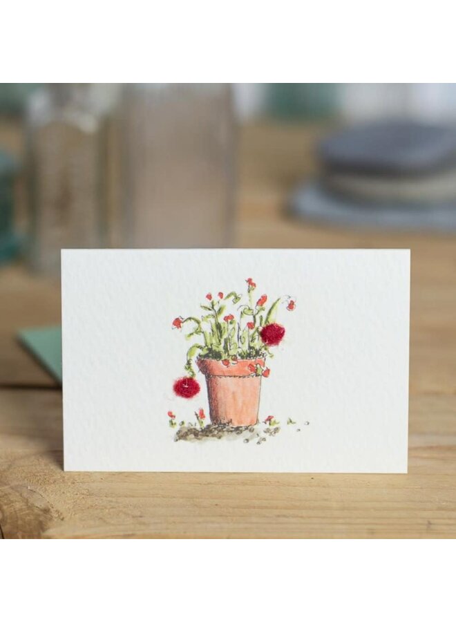 Geraniums in Pot Mini Card 074