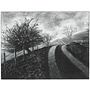 Mist on The Road to Rake Farm No. 3 Giclee print Mounted 38 cm x 28.5 cm